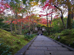 -常寂光寺