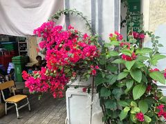 -恒兴发茶店(水巷口店)