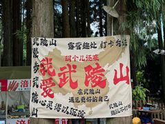 -武陵山森林公园