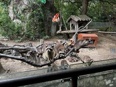 -宁波野生动物园