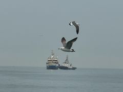 -海驴岛(荣成市)