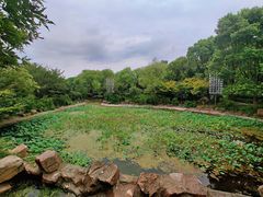 -东湖景区