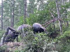 -白草畔自然风景区