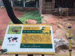 -昆明动物园