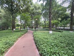 -重庆市江北嘴中央商务区中央公园