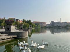 -中国计量大学(西校区)