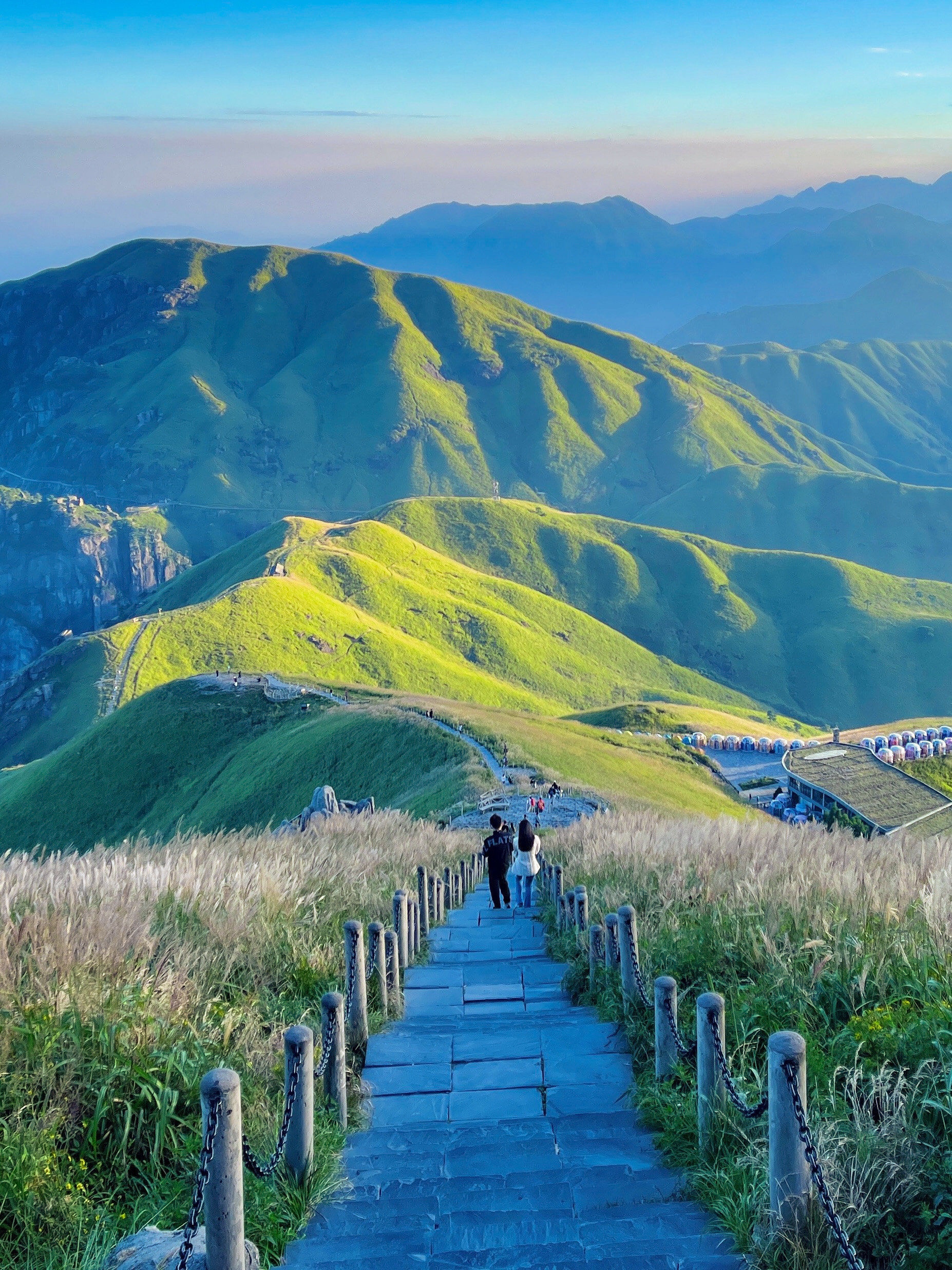这里是只属于武功山的高山草甸🌱
