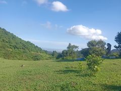 -大姆山草场