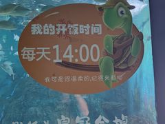 -烟台海昌鲸鲨海洋公园
