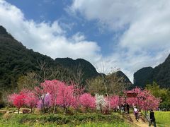 -靖西鹅泉风景区