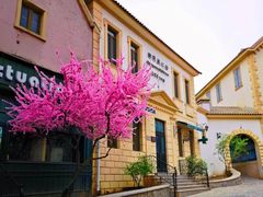 -北京张裕爱斐堡酒庄