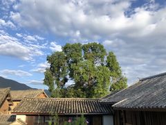 -翕庐小苑
