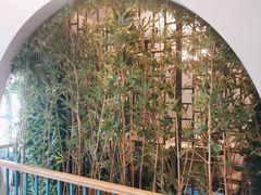 -野妹经典火锅(民治店)