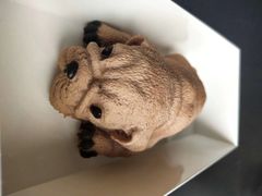 -咖咖熊蛋糕定制·蓝风车动物奶油