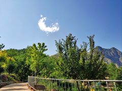 -十渡高山漂流