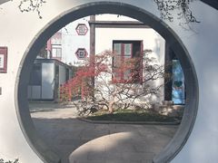 -上海醉白池公园