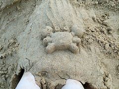 -青岛第二海水浴场