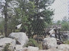 -石家庄市动物园