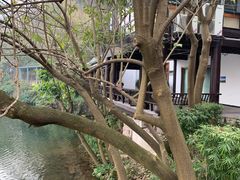 -重庆彩云湖湿地公园