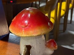 -菌彩云南野生菌火锅(新亚洲店)