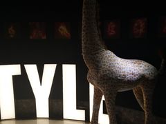 -欢唱KTV(东街店)