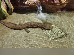 -杭州野生动物世界