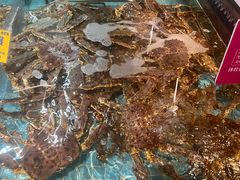 -79号渔船海鲜饭店(宝安店)