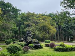 -滴水岩森林公园