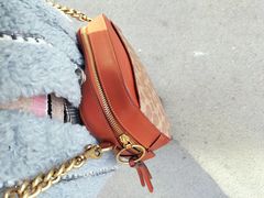 -COACH蔻驰(盛京奥特莱斯店)