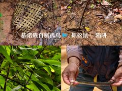 -西双版纳基诺山寨