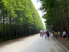 -日照海滨国家森林公园