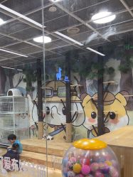 -小象动悟公园(龙湖亦庄天街店)