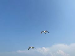 -长岛南北长山旅游景区