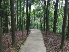 -广州市帽峰山景区