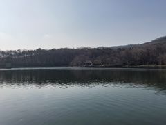 -紫霞湖公园