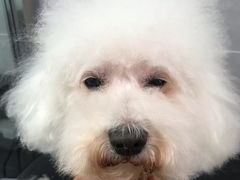 -宠福鑫康馨动物医院·骨科·眼科
