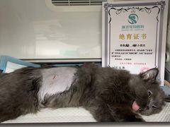 -东莞宠友24H宠物中心医院·转诊夜诊·异宠(新河北路院)