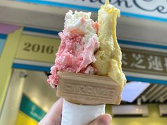 -柠檬车露(卖草地店)