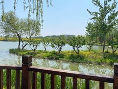 -东郊湿地公园