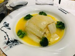 素鱼翅-丁老爷子苏香圆