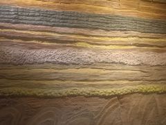 -安徽省地质博物馆