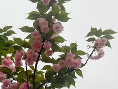 -唐宫足道·SPA·住宿24H会所(木渎店)