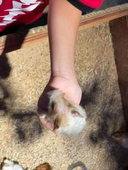 -酷嗒动物文化乐园(cutezoo西溪乐天城店)