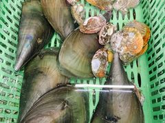 -乡味海鲜农家菜·巽寮土窑鸡(地道美食店)