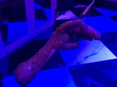 -肉串汪(月坛店)