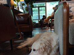 -咖法森林·咖啡  酒吧(天河店)