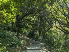 -黄埔油麻山森林公园