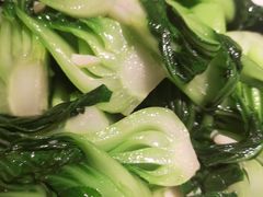 -广悦华阳朔河畔度假酒店(十里画廊遇龙河店)
