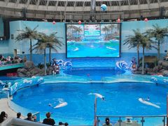 -海合安成都极地海洋公园