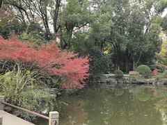 -汇龙潭